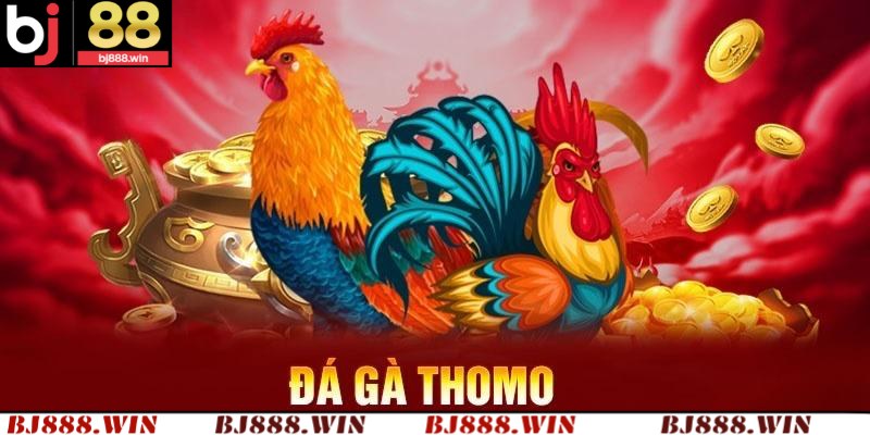 Đá Gà Thomo Campuchia – Sân Chơi BJ88 Cá Cược Đỉnh Cao