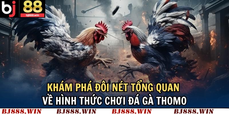 Giới thiệu sảnh đá gà Thomo Campuchia